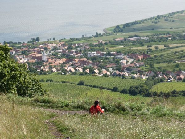 Klikněte pro zobrazení původního (velkého) obrázku