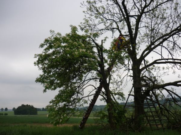 Klikněte pro zobrazení původního (velkého) obrázku