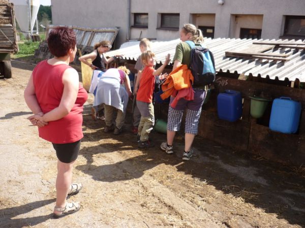 Klikněte pro zobrazení původního (velkého) obrázku