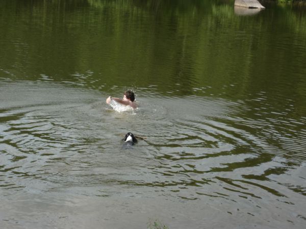 Klikněte pro zobrazení původního (velkého) obrázku