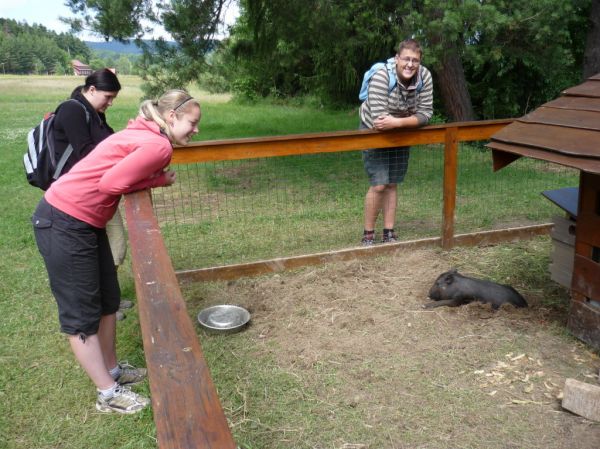 Klikněte pro zobrazení původního (velkého) obrázku