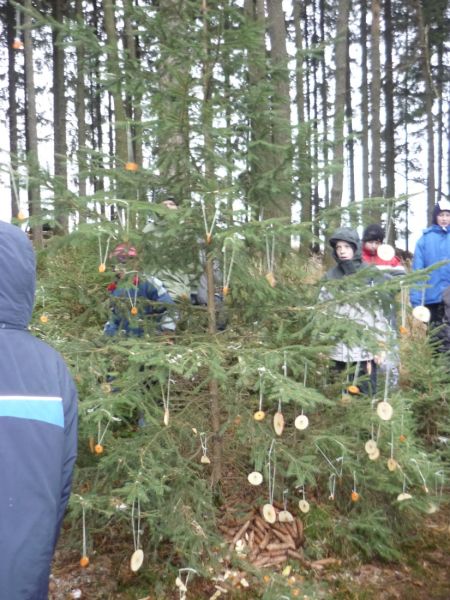 Klikněte pro zobrazení původního (velkého) obrázku