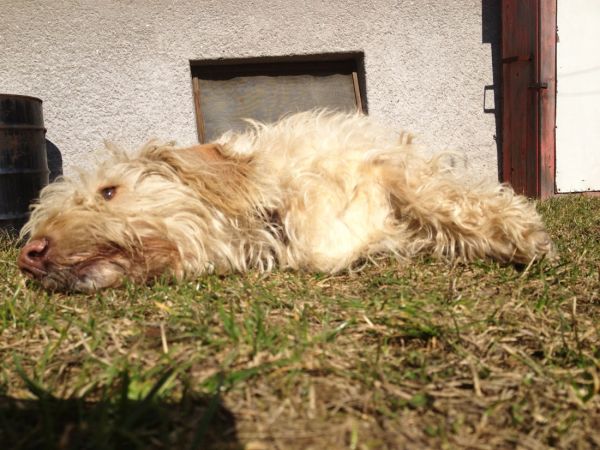 Klikněte pro zobrazení původního (velkého) obrázku